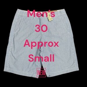 Men's American Eagle AEO 30 Small Shorts Pin Stripes Blue White Chino Khakis NWT